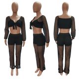 Sexy Fishnet Hollow Out 2 Piece Pants Sets LX-6926