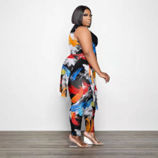 Plus Size Printed Sleeveless Split Two Piece Pants Sets PHF-13278