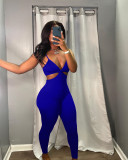 Sexy Backless Sling Tight Jumpsuit YS-S810