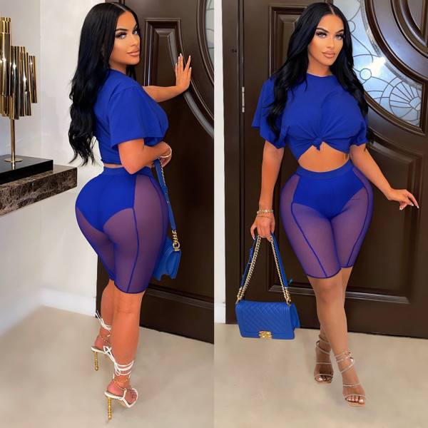 Solid T Shirt Mesh Shorts Two Piece Sets DDF-88163