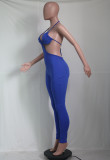 Sexy Backless Sling Tight Jumpsuit YS-S810