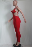 Sexy Backless Sling Tight Jumpsuit YS-S810