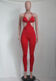 Sexy Backless Sling Tight Jumpsuit YS-S810
