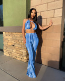 Sexy Printed Two Piece Pants Sets ZDF-31209