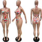 Sexy Printed Swimsuit Two Piece Sets BGN-245