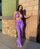 Sexy Printed Two Piece Pants Sets ZDF-31209