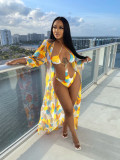 Sexy Printed Swimsuit Two Piece Sets BGN-245