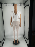 Sexy Hooded Split Top+Mesh Pants 2 Piece Sets FOSF-8220