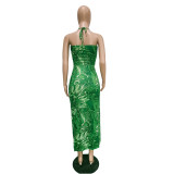 Sexy Printed Bodysuit+Split Skirt Two Piece Sets BN-9327