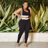 Sports Tank Top And Pants Two Piece Sets SFY-2169