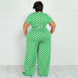Plus Size Polka Dot Print Two Piece Pants Sets OSIF-22293