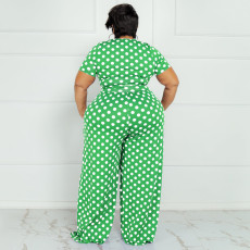 Plus Size Polka Dot Print Two Piece Pants Sets OSIF-22293