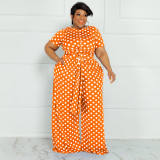 Plus Size Polka Dot Print Two Piece Pants Sets OSIF-22293