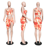 Sexy Printed Beachwear Two Piece Sets WPF-80648