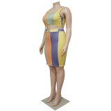 Plus Size Colorful Print Sleeveless 2 Piece Skirt Sets NNWF-7496