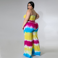 Plus Size Tie Dye Print Tube Top And Pants 2 Piece Sets NNWF-7468