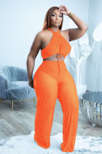 Sexy Halter Crop Top And Pants Two Piece Sets FNN-8675