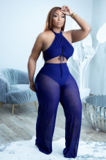 Sexy Halter Crop Top And Pants Two Piece Sets FNN-8675
