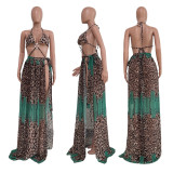 Sexy Leopard Print Lace-up Swimsuit TR-1209