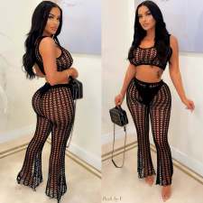 Sexy Crochet Hollow Out Two Piece Pants Sets OSM-4360