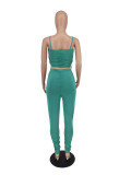 Plus Size Solid Ruched Two Piece Pants Sets ZDF-31211