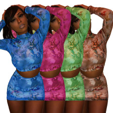 Sexy Print Mesh Long Sleeve And Skirt 2 Piece Sets YF-9571