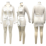 Fashion Solid Color Long Sleeve Perspective Mini Dress YF-9503