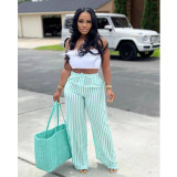 Casual Striped Inelastic Wide Leg Pants BN-B9330