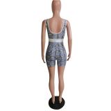 Pre Order: About 7 work days shipping Plaid Print Sleeveless Tight Romper YUEM-66199