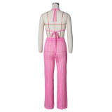 Sexy Knit Hollow Out Two Piece Pants Sets ZSD-Z046