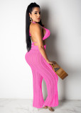 Sexy Knit Hollow Out Two Piece Pants Sets ZSD-Z046