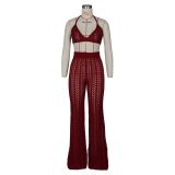Sexy Knit Hollow Out Two Piece Pants Sets ZSD-Z046