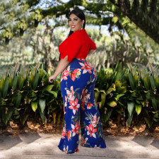 Plus Size Crop Top+Printed Pants 2 Piece Sets NNWF-7579