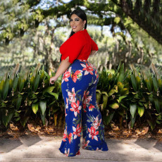 Plus Size Crop Top+Printed Pants 2 Piece Sets NNWF-7579