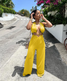 Sexy Hollow Out Sleeveless Jumpsuit NYF-8118