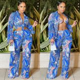 Sexy Mesh Printed Bra+Shirt+Pants 3 Piece Sets BY-5839