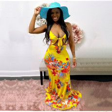 Plus Size Floral Print Sling Maxi Dress JZHF-8115