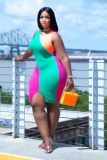 Contrast Color Sleeveless Bodycon Dress ORY-5235