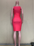 Contrast Color Sleeveless Bodycon Dress ORY-5235