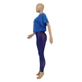 Plus Size Letter Print T Shirt+Mesh Pants 2 Piece Sets SXF-20401-2