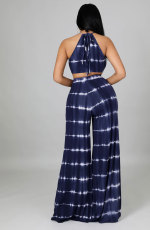 Casual Printed Sleeveless Two Piece Pants Sets XHXF-8616