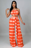 Casual Printed Sleeveless Two Piece Pants Sets XHXF-8616