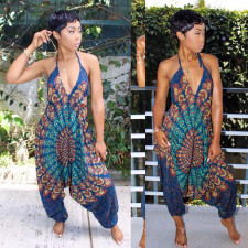 Sexy Printed V Neck Halter Harem Jumpsuit BN-9097