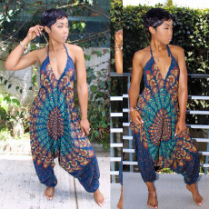 Sexy Printed V Neck Halter Harem Jumpsuit BN-9097
