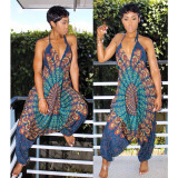 Sexy Printed V Neck Halter Harem Jumpsuit BN-9097