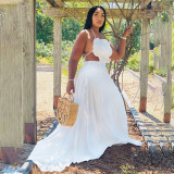 Sexy Halter Backless Ruffled Big Swing Maxi Dress HNIF-HN089