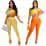 Sexy Feather Two Piece Pants Sets YF-10179