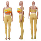 Sexy Feather Two Piece Pants Sets YF-10179
