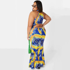 Plus Size Printed Sleeveless Maxi Dress OSIF-22410