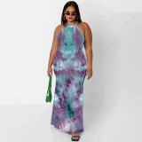 Plus Size Printed Sleeveless Maxi Dress OSIF-22410